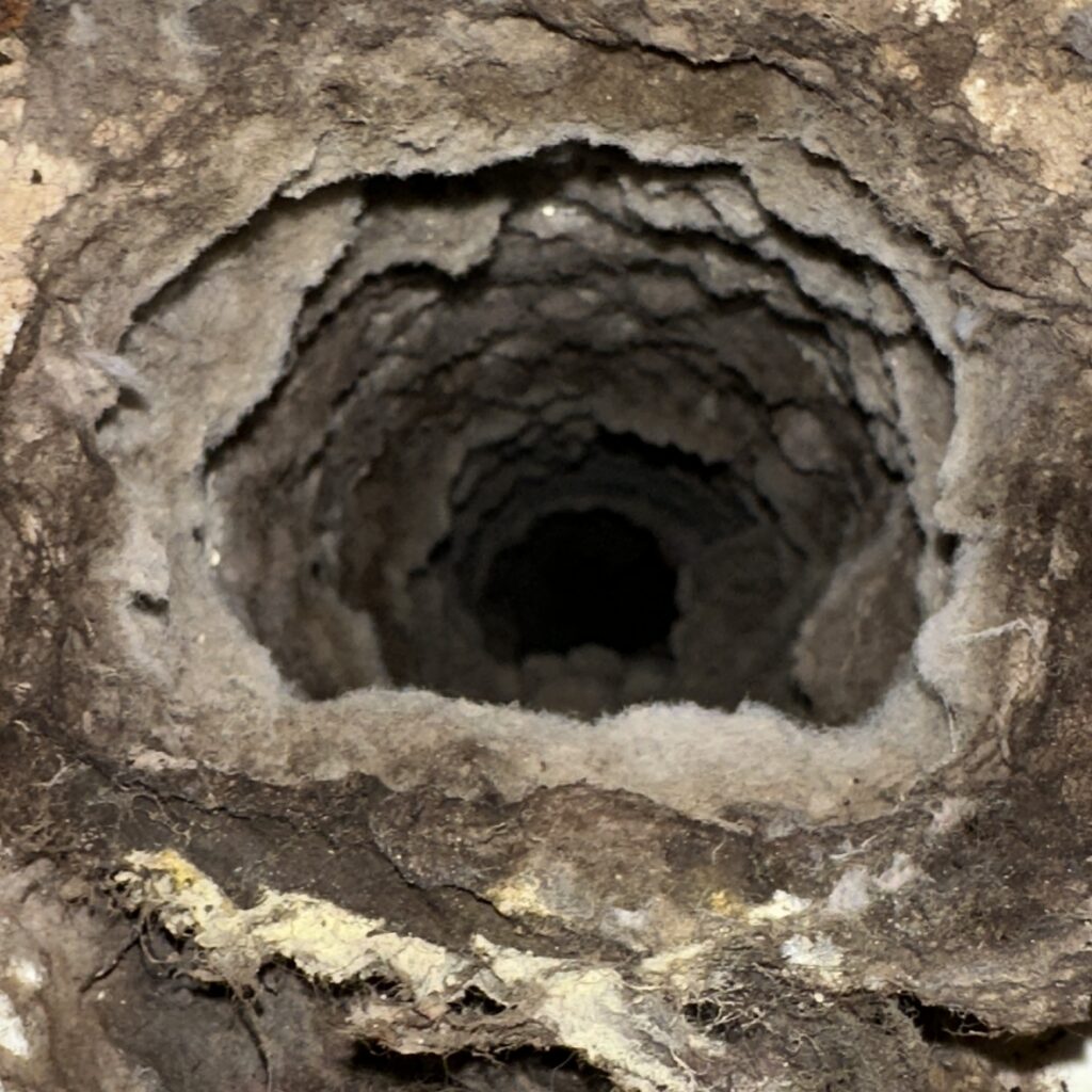 Clogged dryer vent filled with lint and debris before professional cleaning
